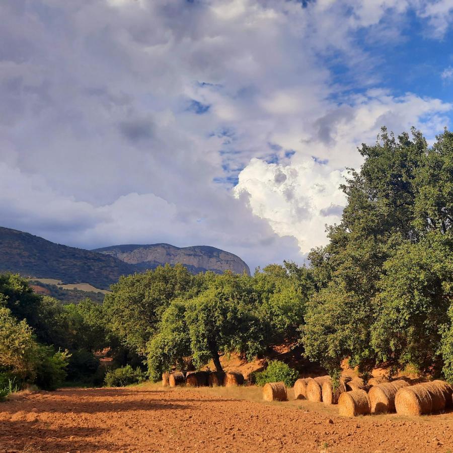 Corral De L'Esquirol Villa Basturs Dış mekan fotoğraf